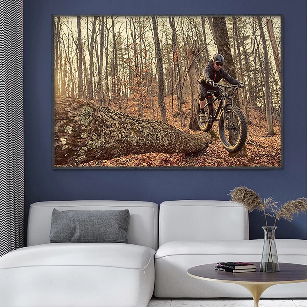 Mountain Biking Movies - SP082 Silk Cloth Wall Poster Mountain