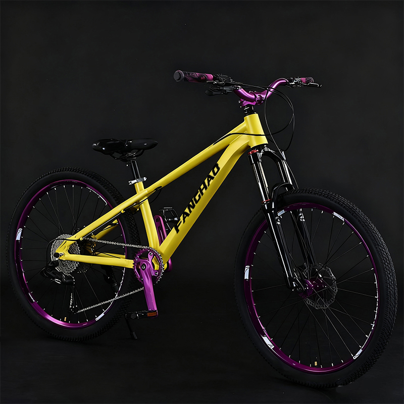 Dirt Jump 26 Inch Lightweight  - đánh giá và giá Mountain Biking Jumps