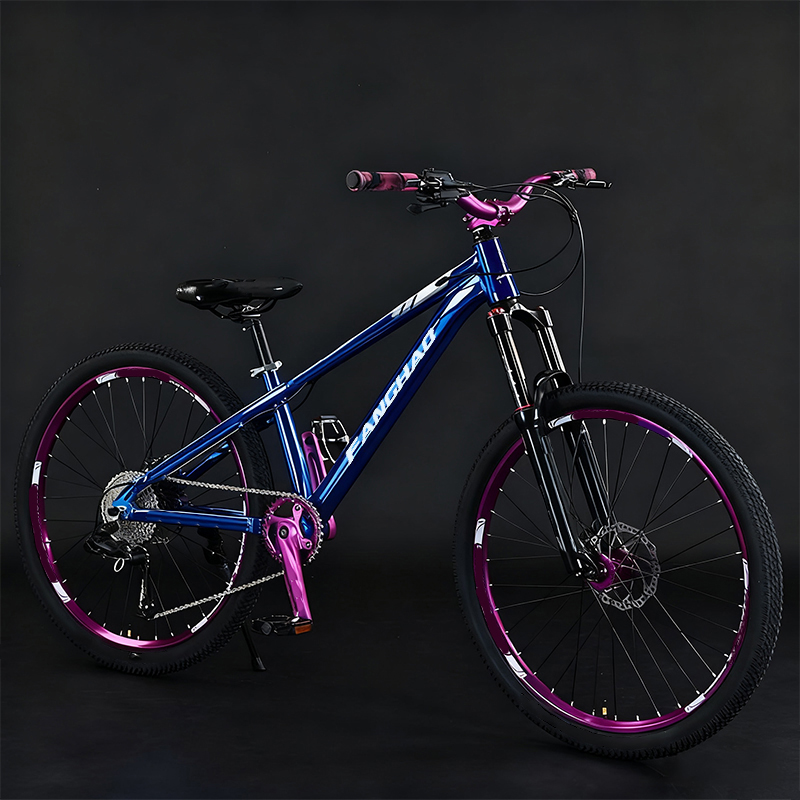 Dirt Jump 26 Inch Lightweight  - đánh giá và giá Mountain Biking Jumps