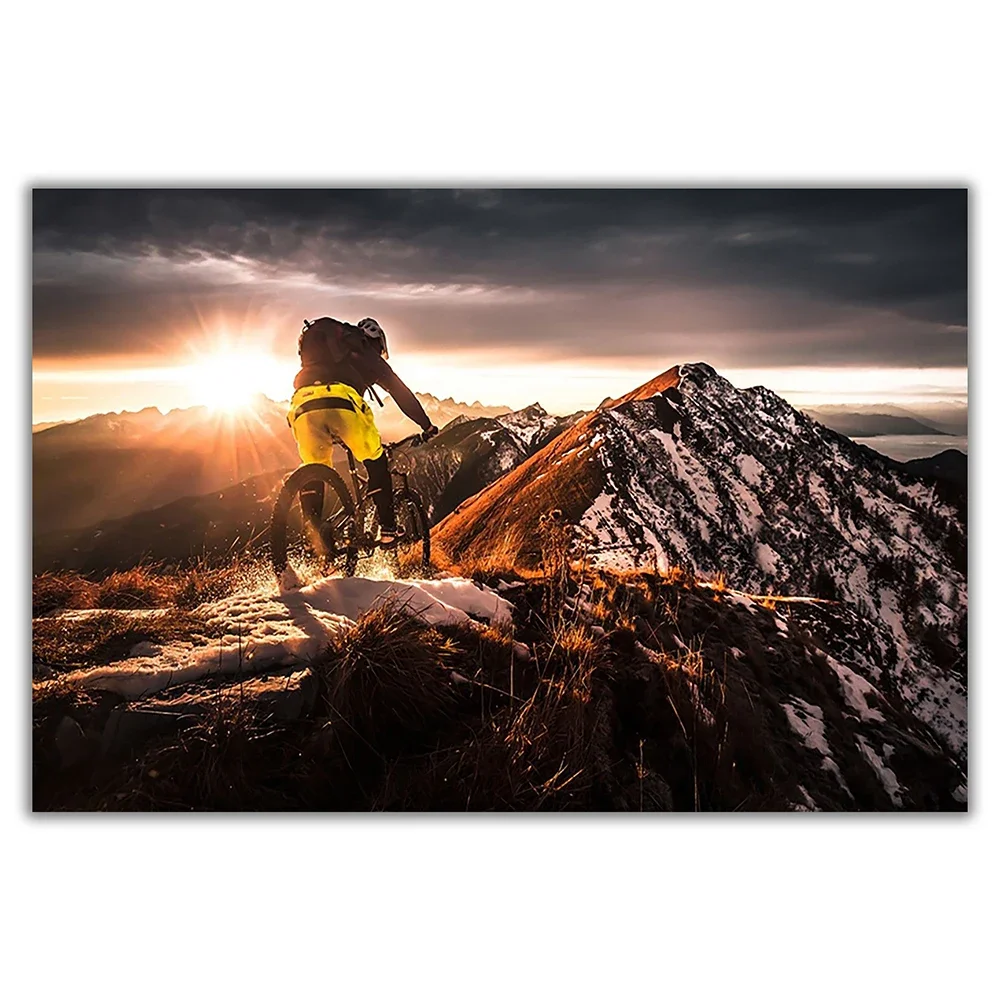SP080 Silk Cloth Wall Poster M - đánh giá và giá Mountain Biking Movies